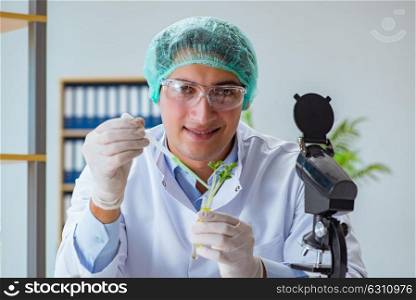Biotechnology scientist working in the lab