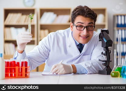 Biotechnology scientist working in the lab