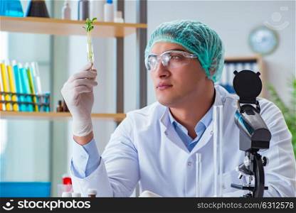 Biotechnology scientist working in the lab