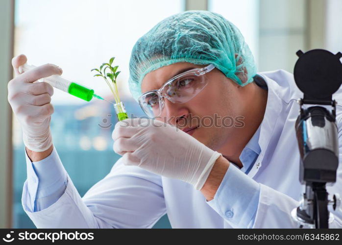 Biotechnology scientist working in the lab