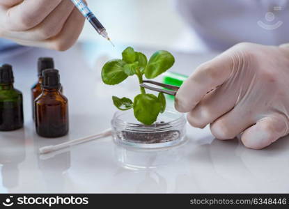 Biotechnology scientist working in the lab