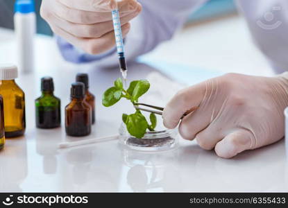 Biotechnology scientist working in the lab