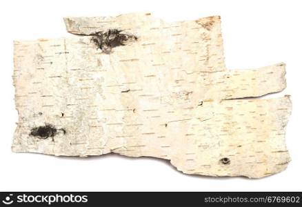 birch bark isolated on white background