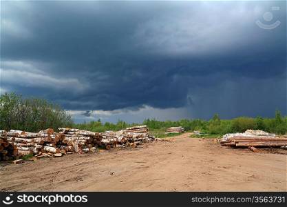 birch log on rural road under cloudy sky
