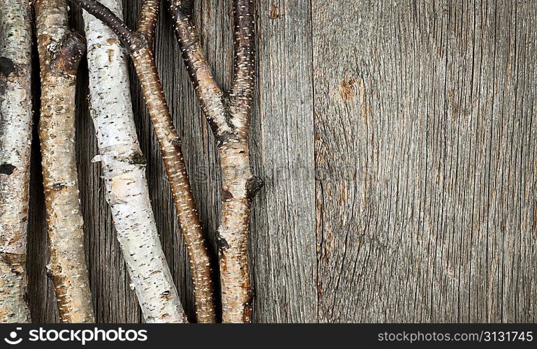 Birch trees background