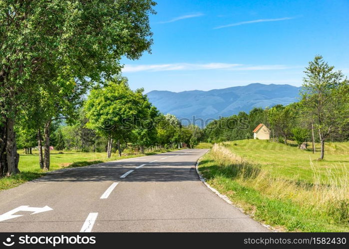 Birches by asphalted road to mountains of Montenegro