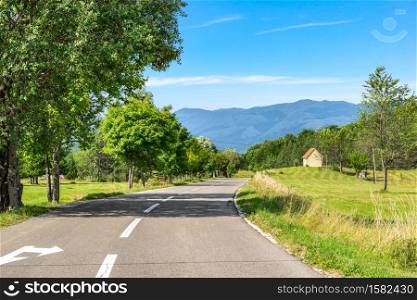 Birches by asphalted road to mountains of Montenegro