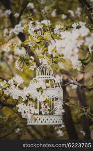 Bird cage on the apple blossom tree in sunset.. bird cage - romantic decor