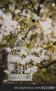 Bird cage on the apple blossom tree in sunset.. bird cage - romantic decor