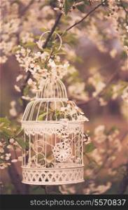 Bird cage on the cherry blossom tree in sunset. Vintage toned