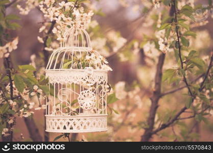 Bird cage on the cherry blossom tree in sunset. Vintage toned