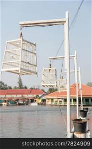 Bird cage tied to a pole in the water, but no birds in cages.