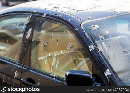 Bird droppings on car