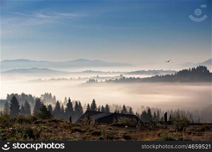 Bird flying over hills and village. Foggy morning in Carpathian mountains