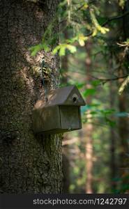 Bird house deep in the forest. Wild bird birdhouse.. Bird house deep in the forest