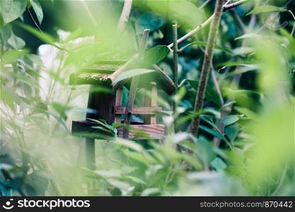 Bird house on a tree among the green leaves in springtime. Shelter and feeder for birds. Wildlife close to human. Copy space room for text