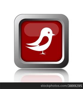 Bird icon. Internet button on white background
