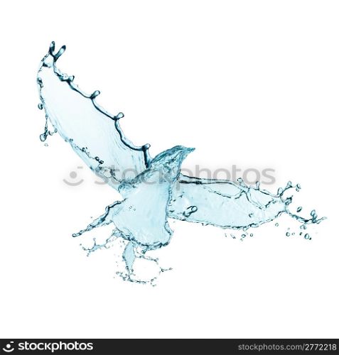 Bird made of water splashes isolated on white