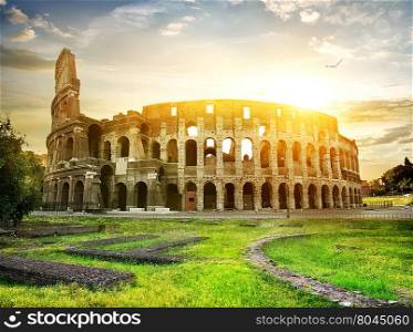 Bird over Colosseum and beautiful yellow sunset