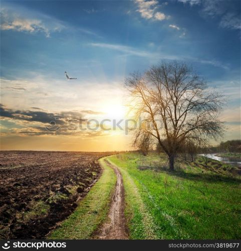 Bird over plowed field and country road