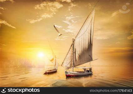 Bird over sailboats at fiery sunset on river