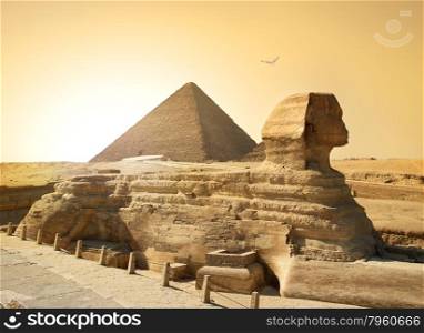 Bird over sphinx and pyramid in egyptian desert