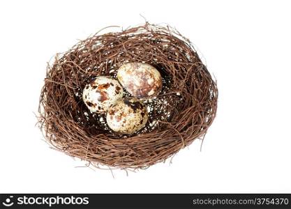 Bird&rsquo;s nest isolated on a white background