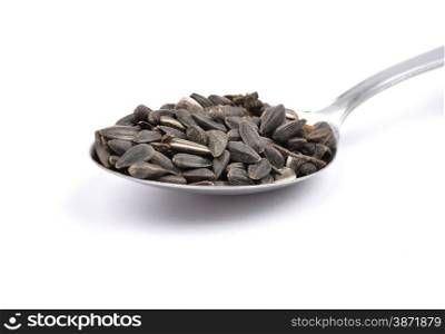 Bird seed on spoon