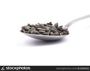 Bird seed on spoon