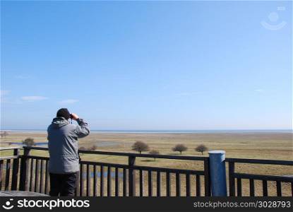Bird watcher in a tower by a great wetland. Man watching birds with binoculars from a tower by the great grassland at Ottenby on the swedish island Oland - a famous birding site