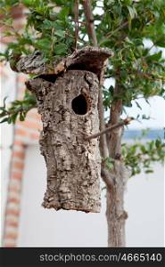 Birdhouse made from the bark of a tree hung a pomegranate