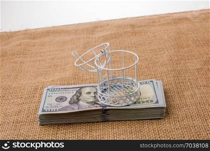 Birds cage placed on bundle of US dollar banknote
