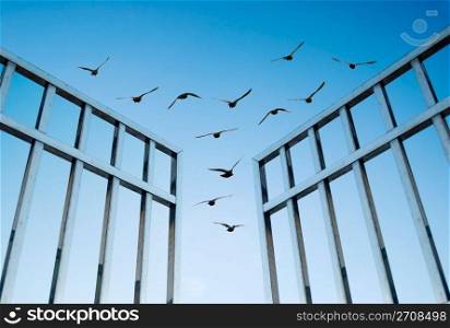 birds fly over the open gate, concept of success and freedom