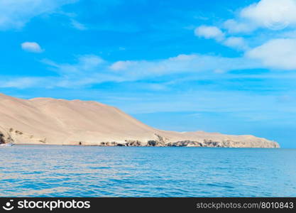 Birds in Ballestas Island (Paracas/Pisco, Peru)&#xA;&#xA;