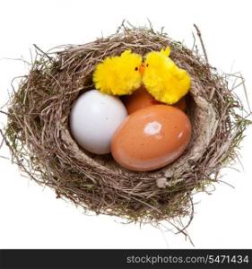 birds nest with eggs and toy chickens inside, on white