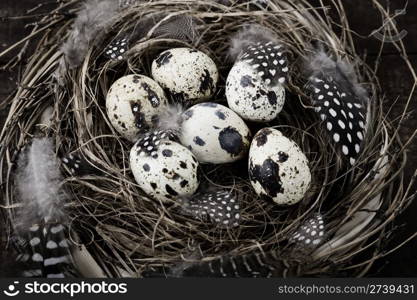 Birds nest with eggs (easter composition)