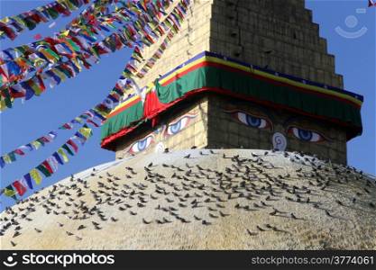 Birds on the big stupa Bodnath in Kathmandu, Nepal