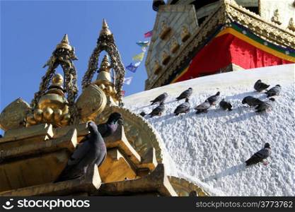 Birds on the white stupa Swayambhunath in Kathmandu, Nepal