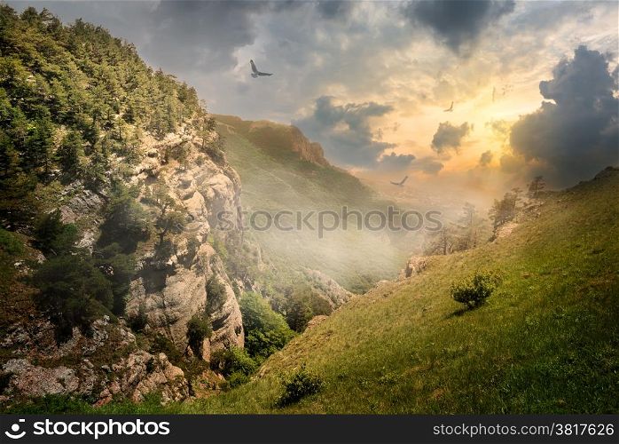 Birds over rocks and fog at the sunrise