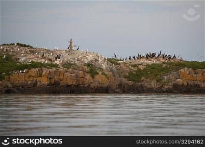 Birds resting on a rock island at Lake of the Woods, Ontario