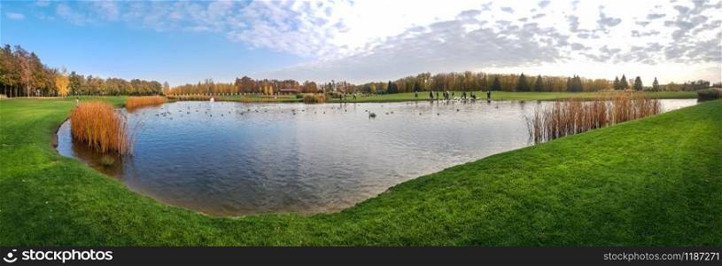 Birds swim in the pond in autumn park, panorama. October forest and lake, panoramic view, orange and yellow foliage on background