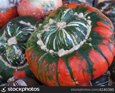 Bischofsmuetze-greenred. Pumpkin - a wonderful vegetable in autumn, which comes in many variations, here the variety Bischofsmuetze