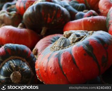 Bischofsmuetze-redgreen. Pumpkin - a wonderful vegetable in autumn, which comes in many variations, here the variety Bischofsmuetze