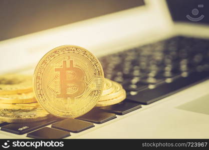 Bitcoin on laptop computer, gold coin with currency digital exchange cash with crypto, technology about money, commercial and finance concept.