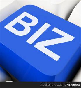Biz Key Showing Online Or Web Business