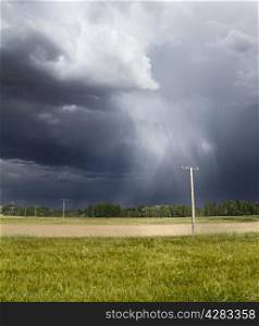 Black and cloudy sky during a storm in the green fields. The rain can be seen falling from the sky.