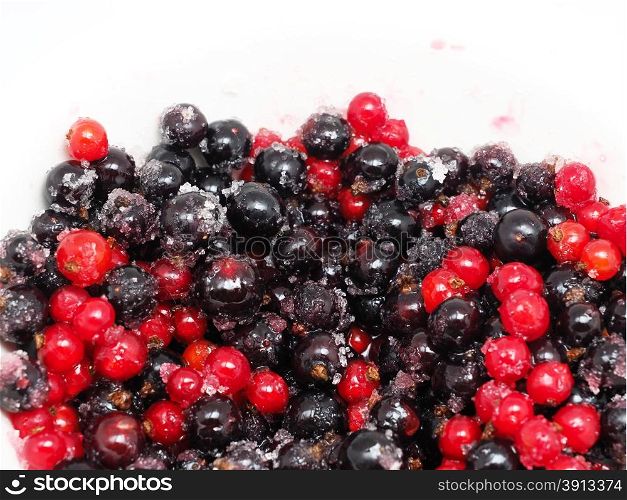 black and red currants in sugar on a white background