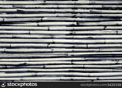 Black and white bamboo background