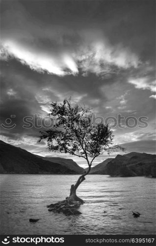 Black and white Beautiful landscape image of Llyn Padarn at sunrise in Snowfonia National Park