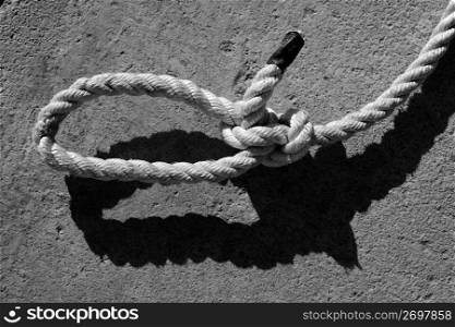 black and white bowline gauze on marine rope and shadow